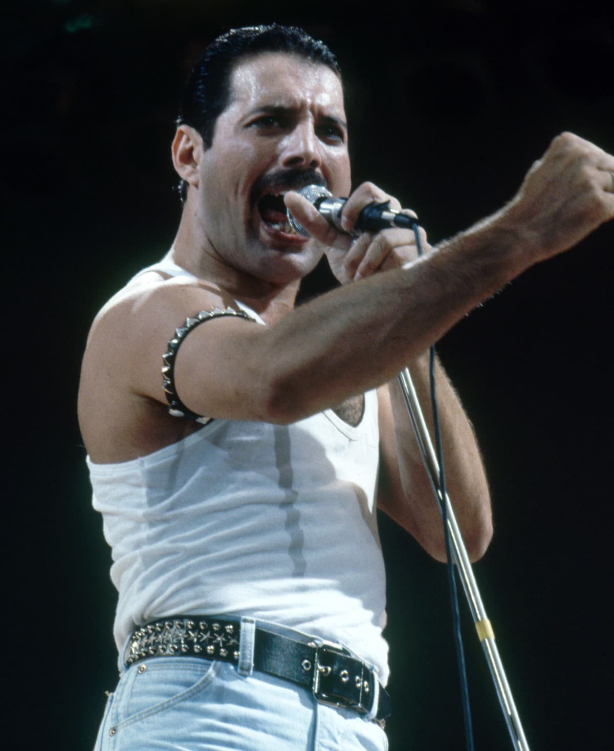Freddie Mercury |: 15 datos interesantes sobre Katy Perry que nunca supiste | su belleza