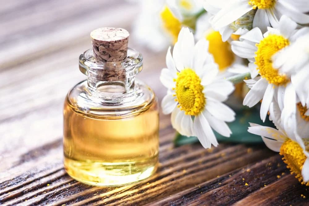 Los 8 aceites más recomendados para tu rutina de baño.