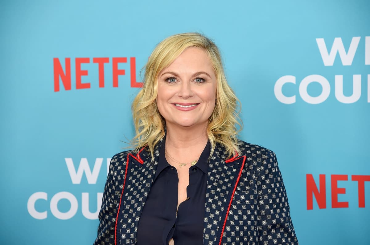 Amy Poehler |: 8 modelos femeninas famosas e inspiradoras de la actualidad | su belleza