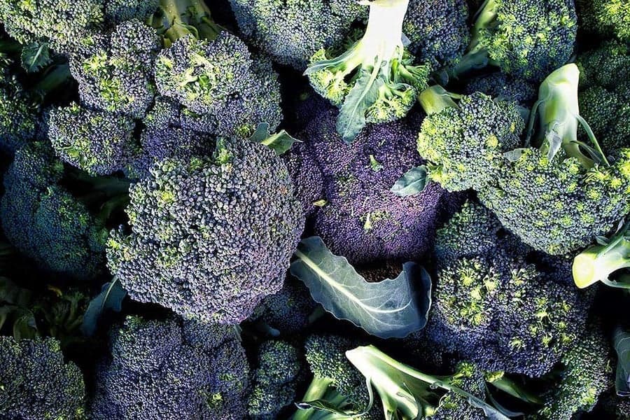 Brócoli | 10 alimentos con casi cero calorías | su belleza