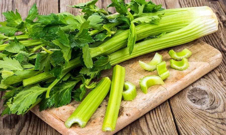 Apio 10 alimentos con casi cero calorías | su belleza