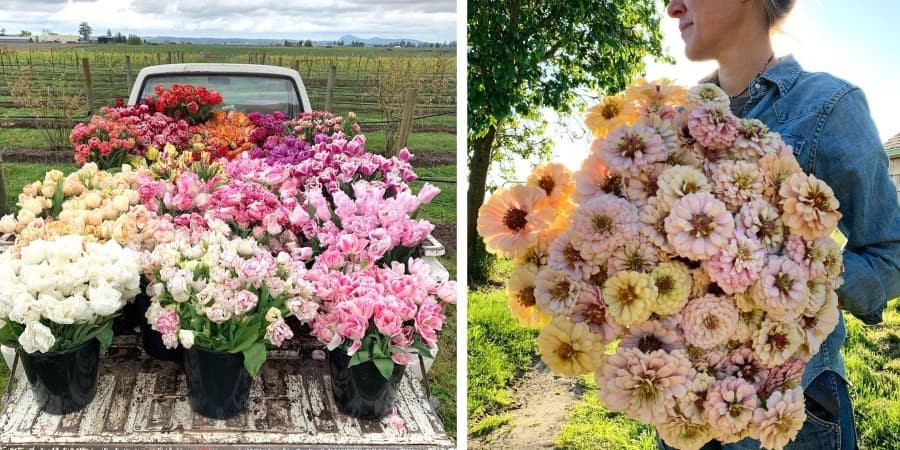 Esta inusual granja de flores crea los más impresionantes arreglos florales.