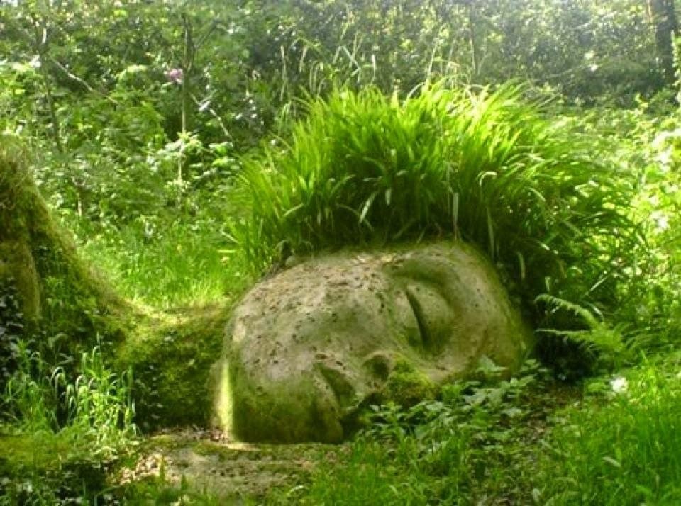 La asombrosa belleza de los jardines ocultos de Heligan
