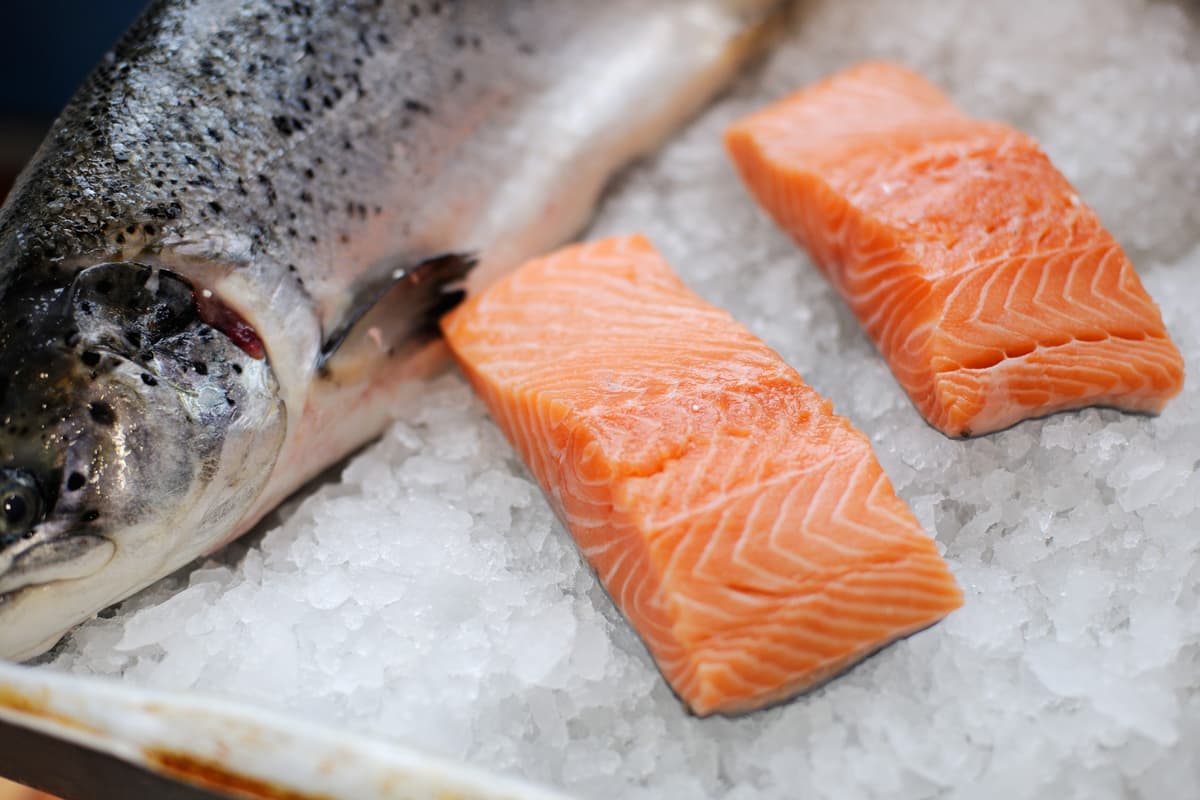 Una excelente fuente de Omega-3 7 beneficios para la salud del salmón | su belleza
