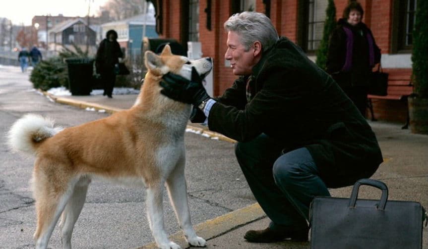Hachi: A Dog's Tale | 10 películas que definitivamente te harán llorar Su Belleza