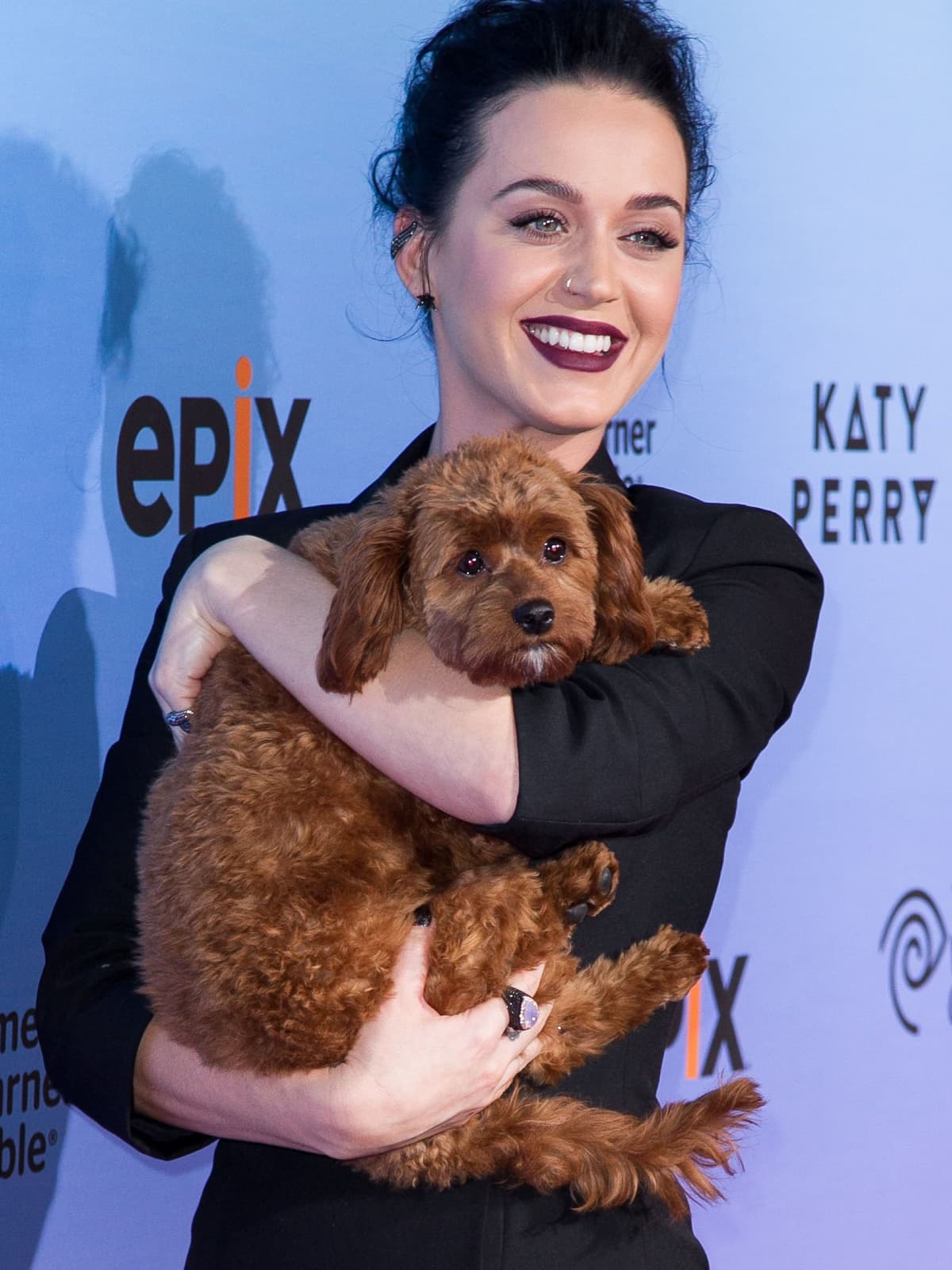 Katie y pepita | 15 datos interesantes sobre Katy Perry que nunca supiste | su belleza