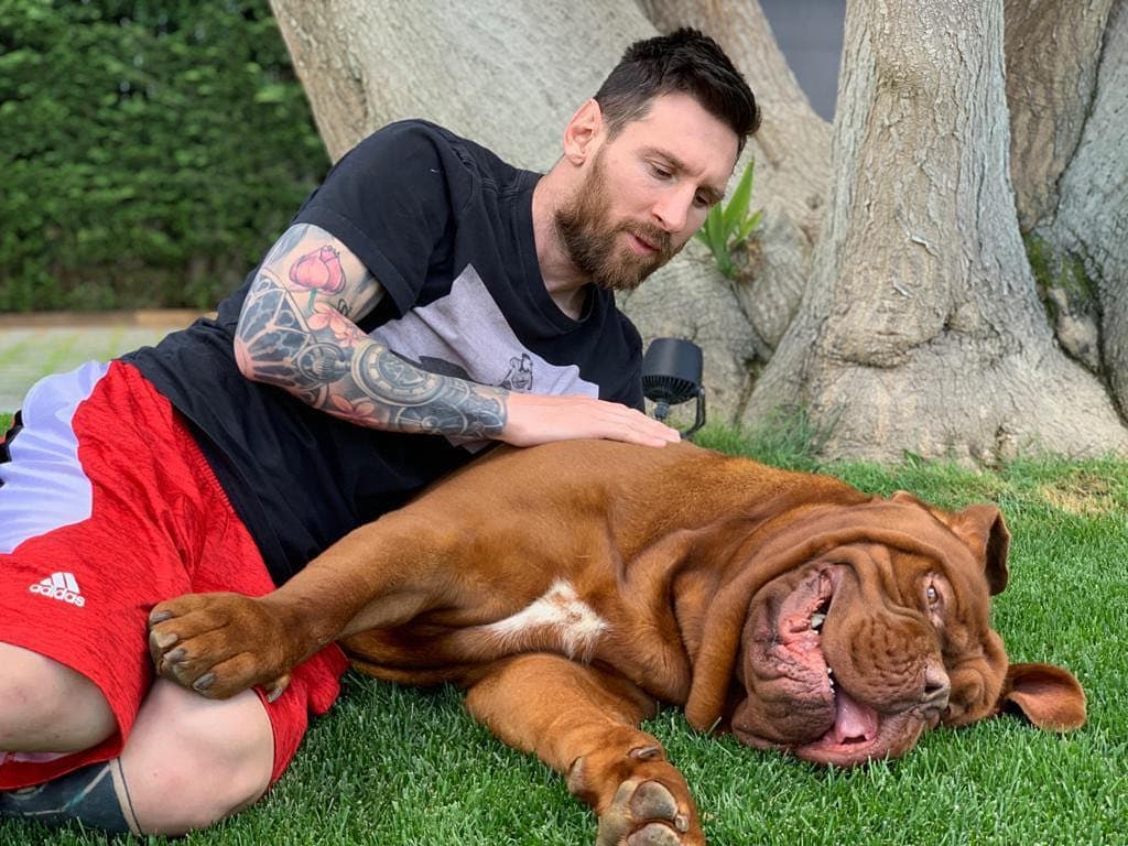Lionel Messi |: 14 celebridades de Instagram más seguidas de 2019 | su belleza