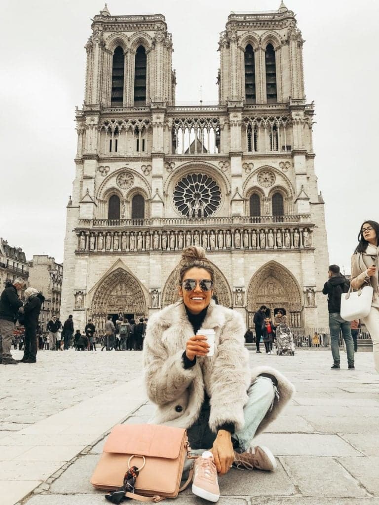 Catedral de Notre-Dame |: 8 mejores lugares para visitar en París | su belleza