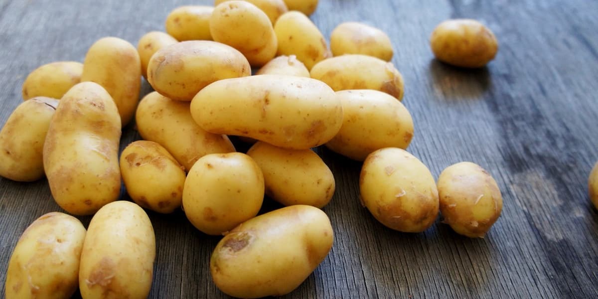 Patata 10 alimentos saludables que son tóxicos si se comen mal | su belleza