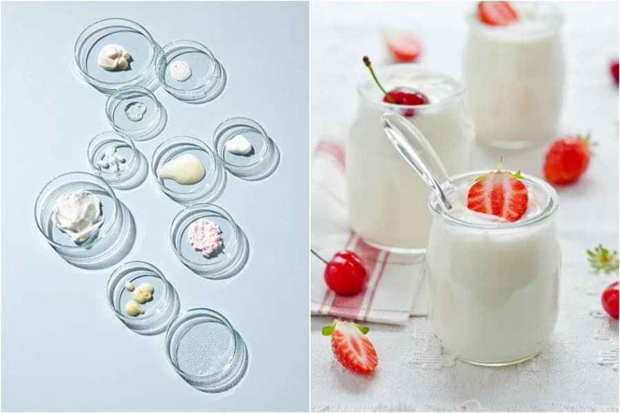 ¿Qué son los probióticos? Todo lo que necesitas saber sobre los probióticos Su Belleza
