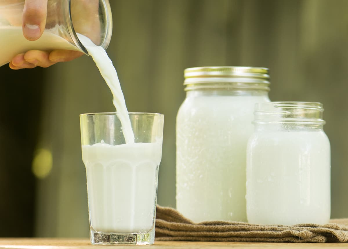 leche 10 alimentos saludables que son tóxicos si se comen mal | su belleza