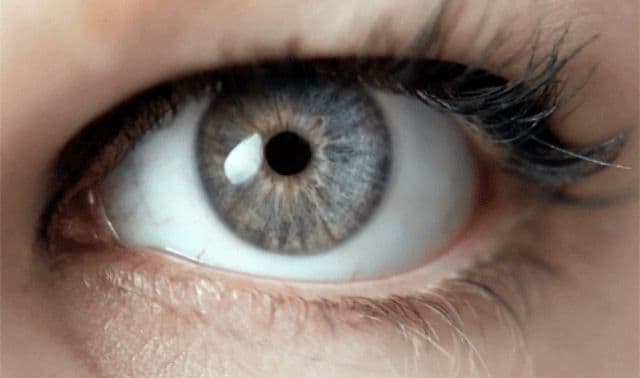 La realidad detrás de los ojos grises.