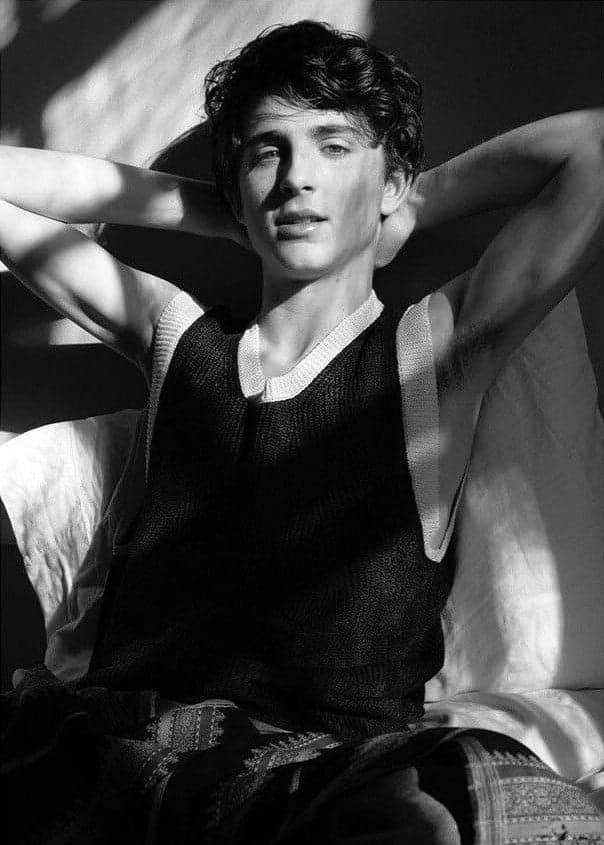 Timothée Chalamet |: 6 espectáculos masculinos de Hollywood de nueva generación |: Su belleza