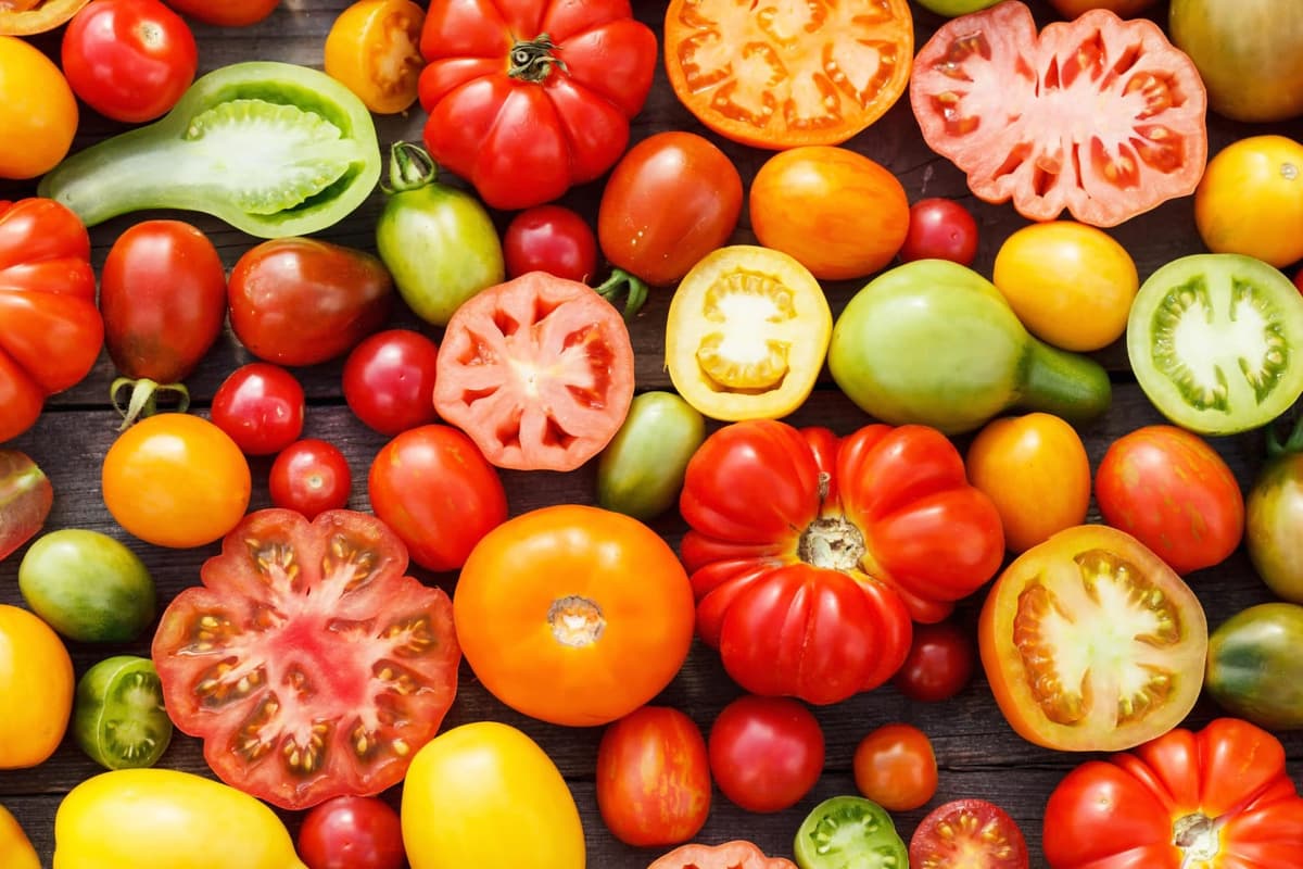 Tomate 10 alimentos que tratan enfermedades de la piel | su belleza