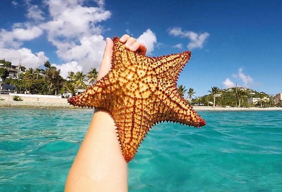 11 playas ideales para evadir el invierno