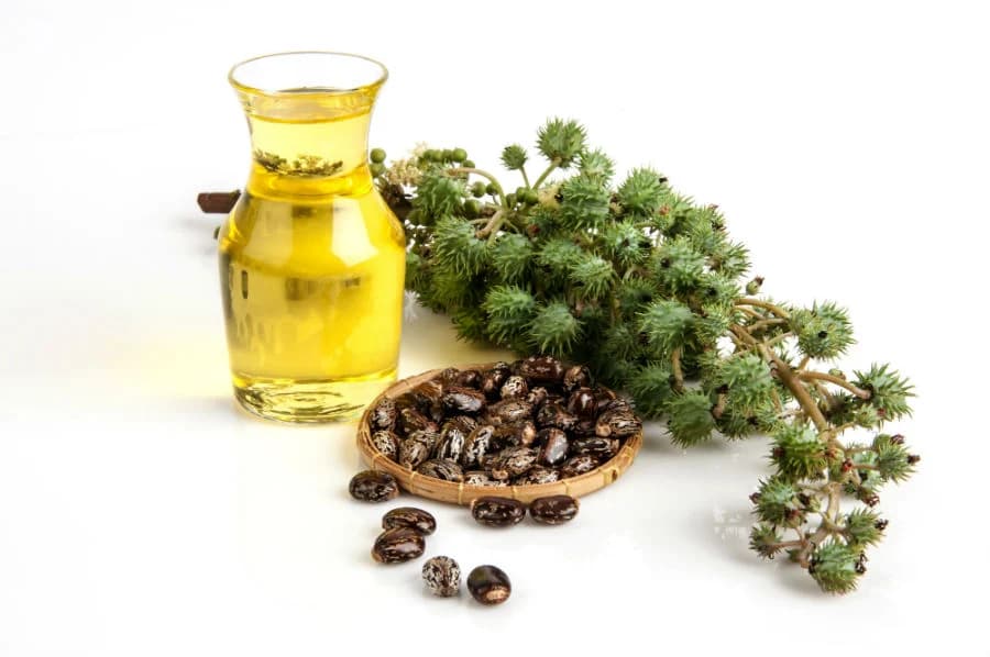 Aceite de ricino |: 15 remedios naturales que las mujeres indias usan para una piel perfecta | su belleza