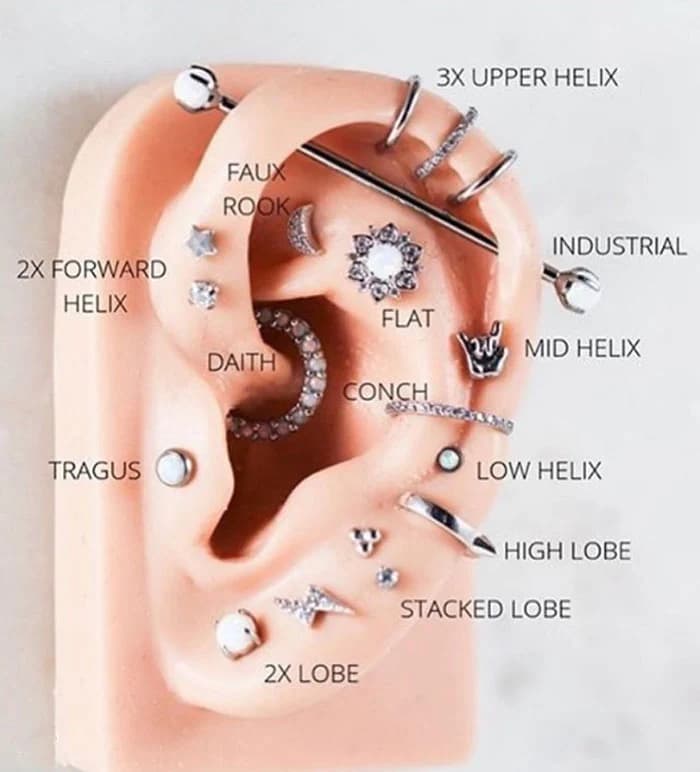 ¿Qué es la daith? El piercing Daith. 8 hechos que te harán conseguir uno | su belleza