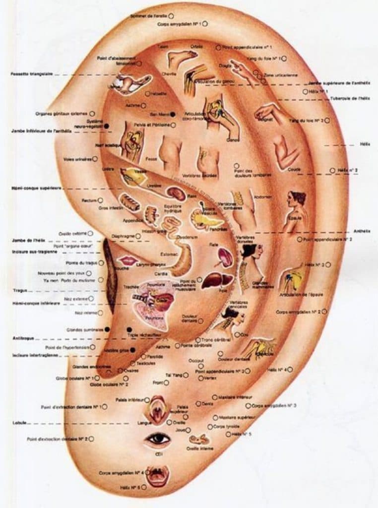 Daith piercing y ansiedad |: El Daith Piercing. 8 hechos que te harán conseguir uno | su belleza