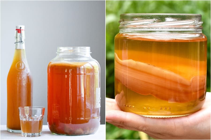 Kombucha | Su belleza