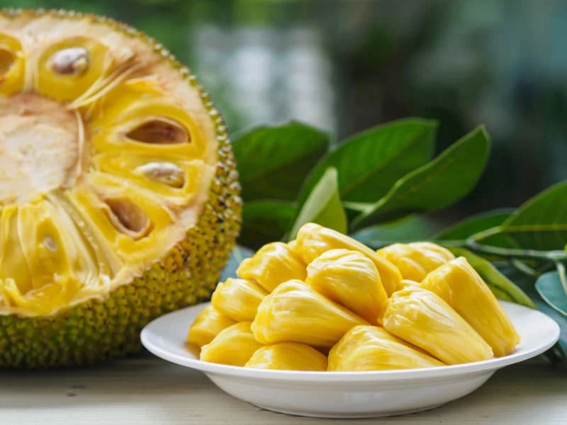 Antioxidantes de yaca | 9 datos que debes saber sobre la yaca para relamerse los labios | su belleza