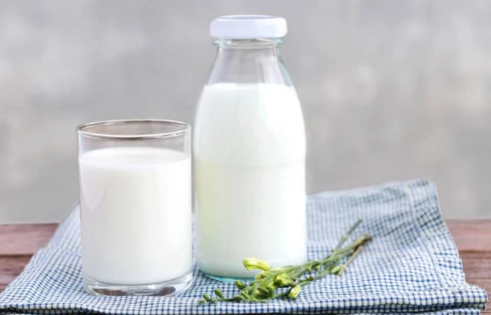 Leche o sustituto lácteo alternativo 10 cosas que debes tener siempre en tu nevera | su belleza