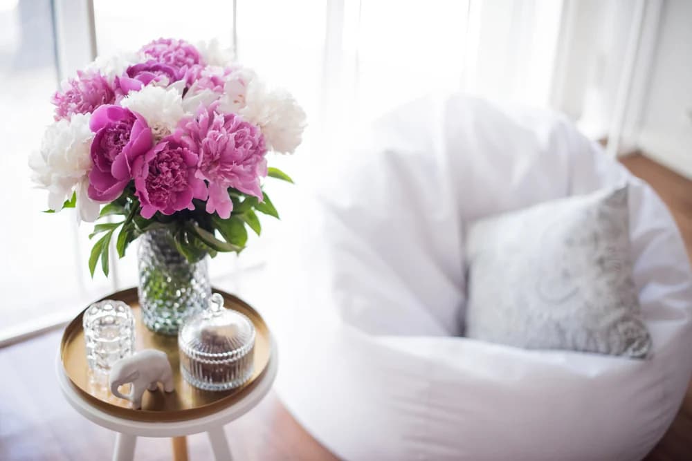Las 9 plantas de interior más recomendadas para mejorar el Feng Shui.