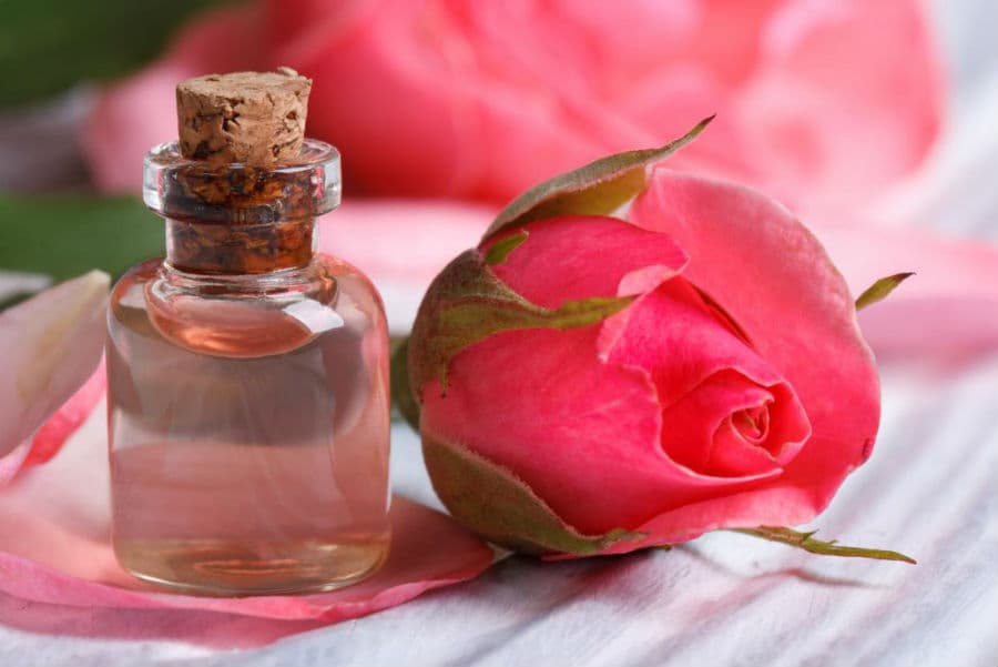 15 tratamientos naturales que utilizan las mujeres indígenas para lograr una piel impecable.