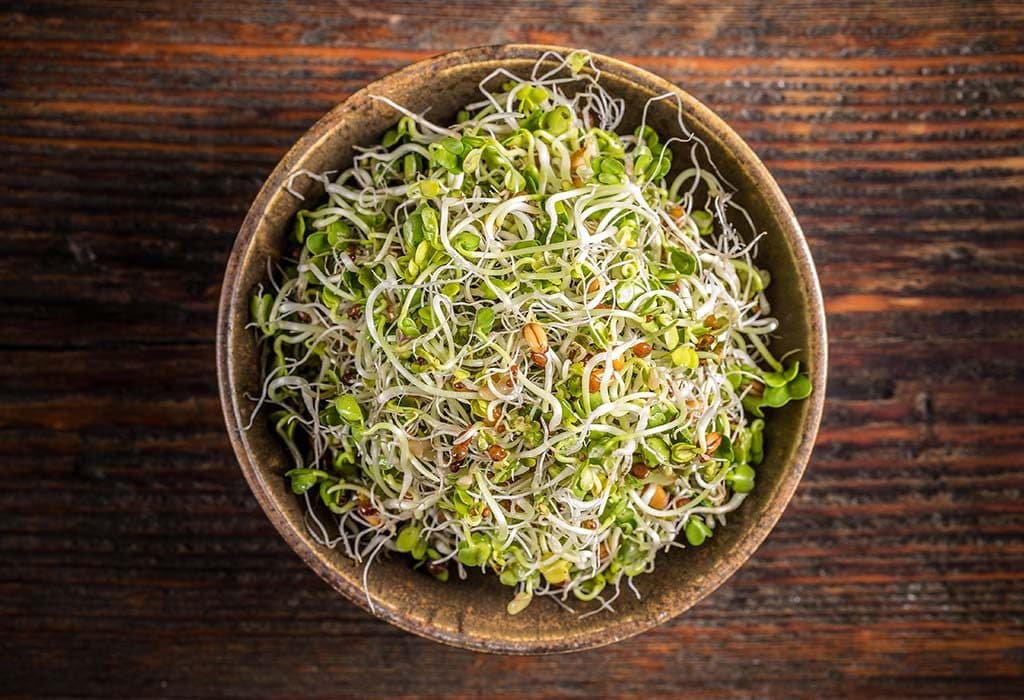Brotes |: 11 mejores alimentos para comer en temporada de lluvias | su belleza