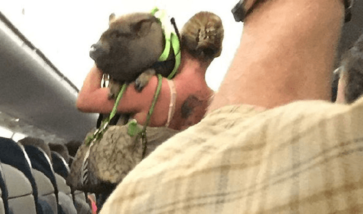 las fotos más divertidas tomadas