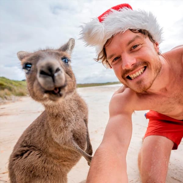 selfies con animales