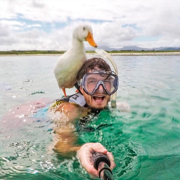 selfies con animales