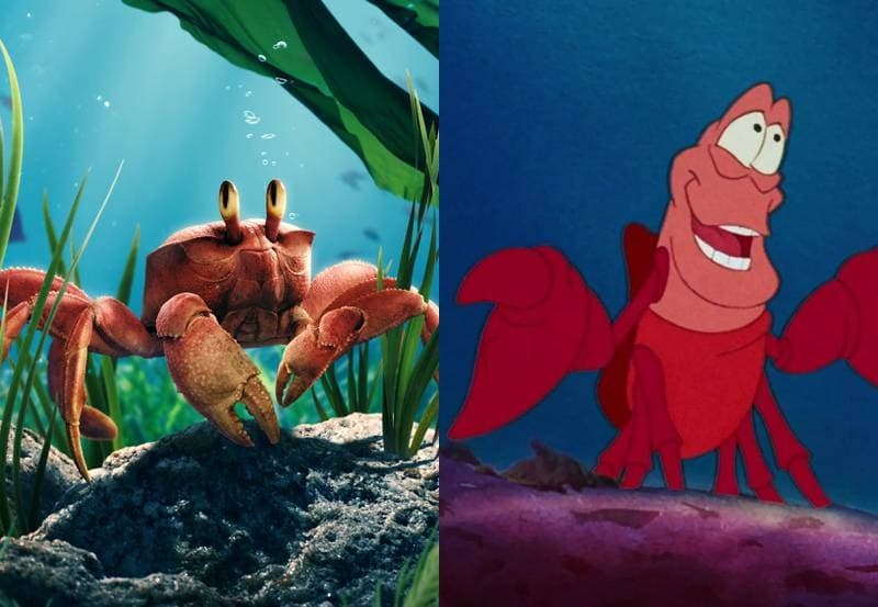 8 diferencias entre la Sirenita de acción real y el clásico de Disney de 1989