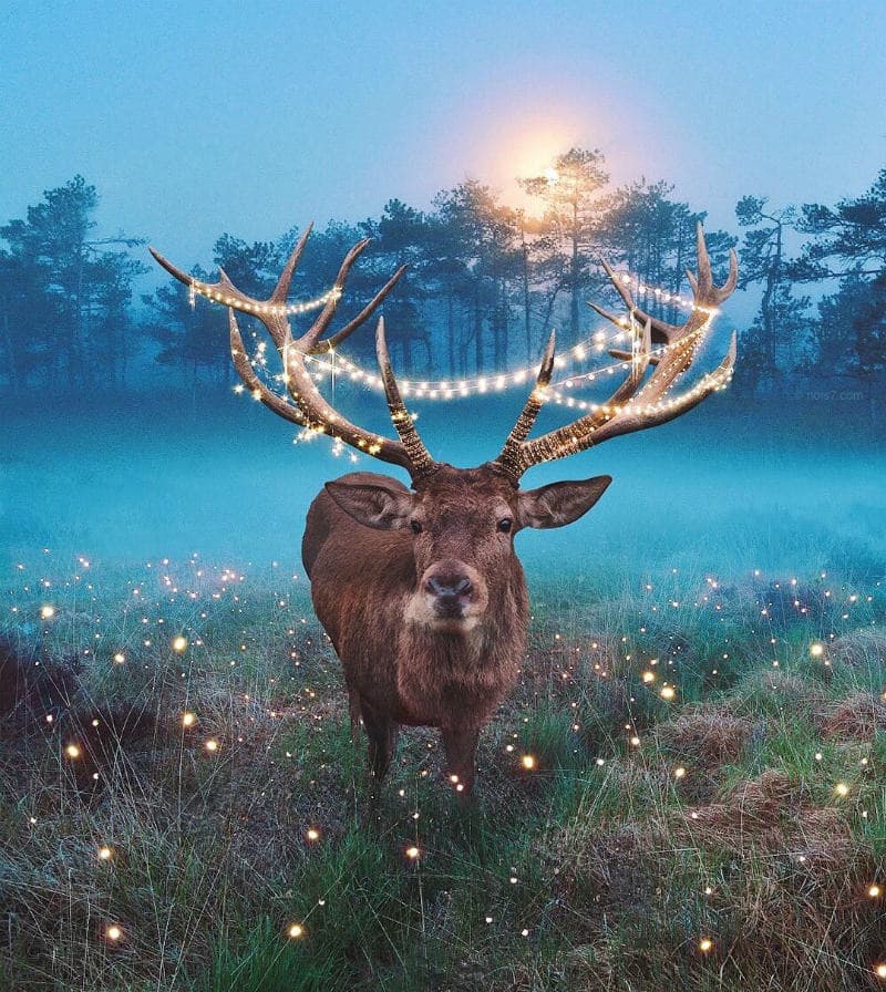 El artista convierte fotografías de la naturaleza en mágicas obras maestras
