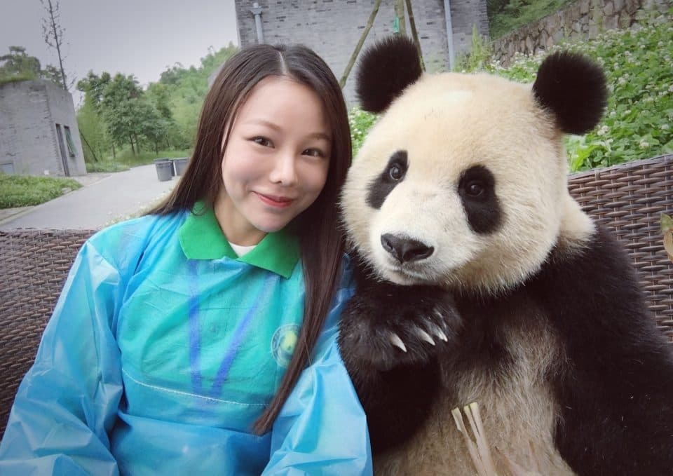 Un panda gigante se hace selfies con turistas y es aún más lindo