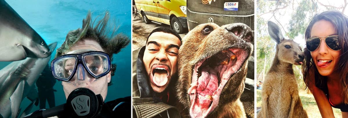 Snapting with Wild Animals es una nueva tendencia 1