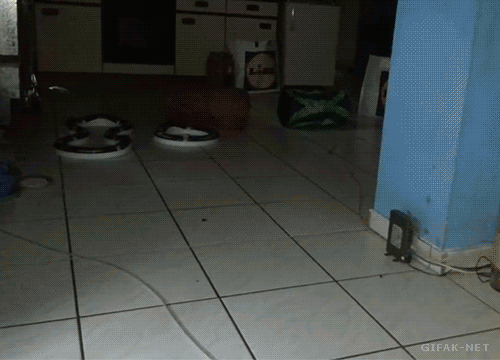 30 GIF divertidos de ataques de gatos para alegrarte el día