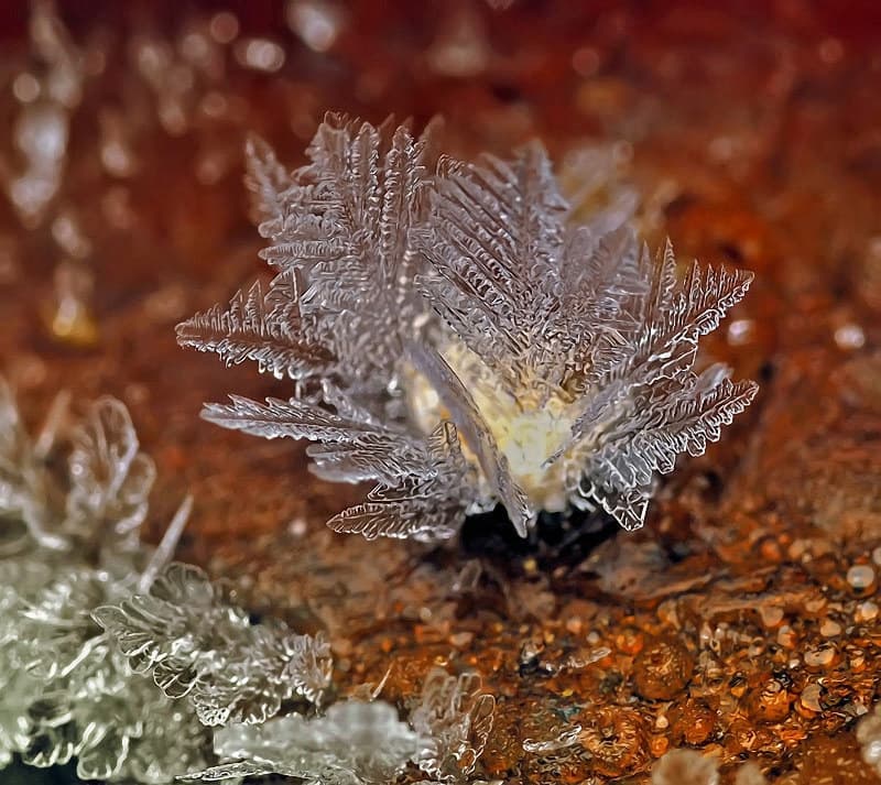 15 fotos de copos de nieve positivamente mágicas de Andrew Osokin