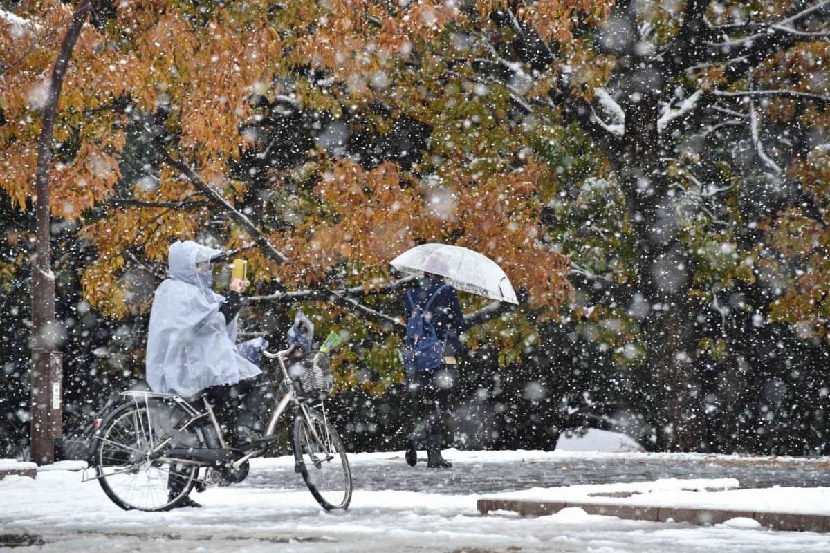 Japón-SNOW-11
