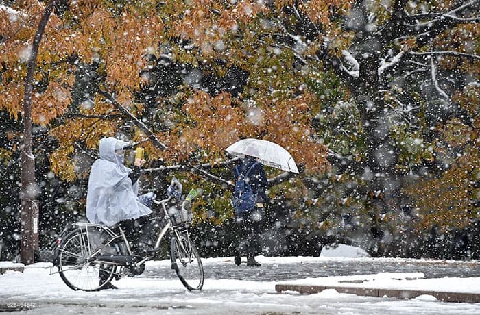 Japón-SNOW-21