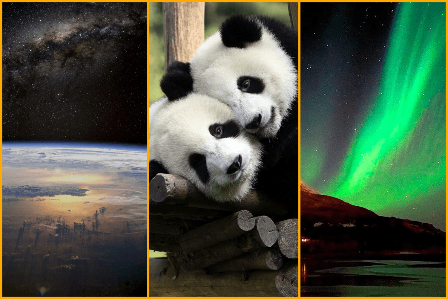 10 excelentes cámaras web de transmisión en vivo de todo el mundo.
