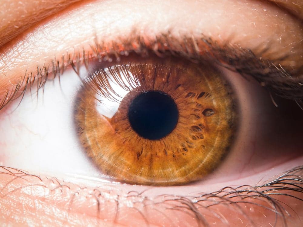 La conexión entre el color de tus ojos y tu personalidad
