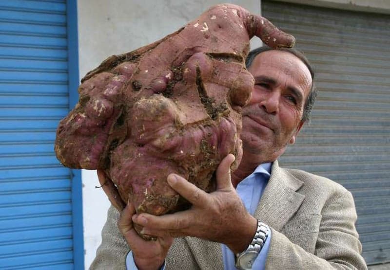 Las 10 mejores frutas y verduras a nivel mundial