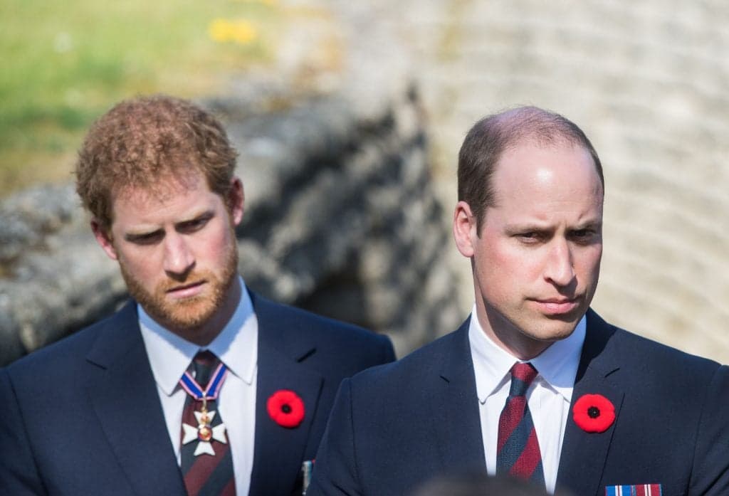 ¿Cuál fue la verdadera historia detrás de la relación entre el Príncipe Harry y el Príncipe William?