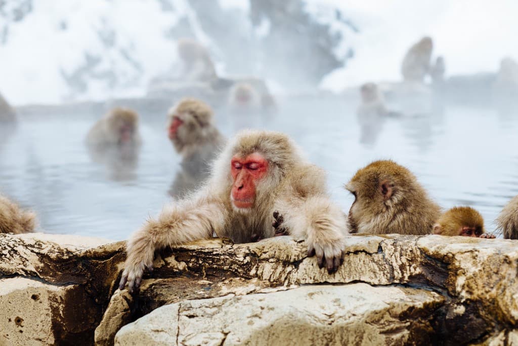 10 destinos especiales para disfrutar de las vacaciones invernales