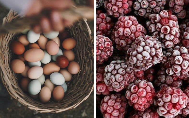 15 ingredientes esenciales para siempre tener listos en la cocina y hacer comidas saludables.