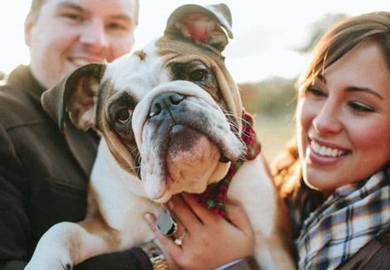 12 motivos por los que tener una mascota mejora tu vida