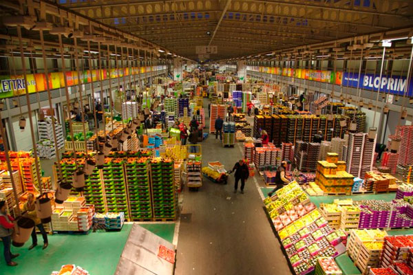 mercados húmedos