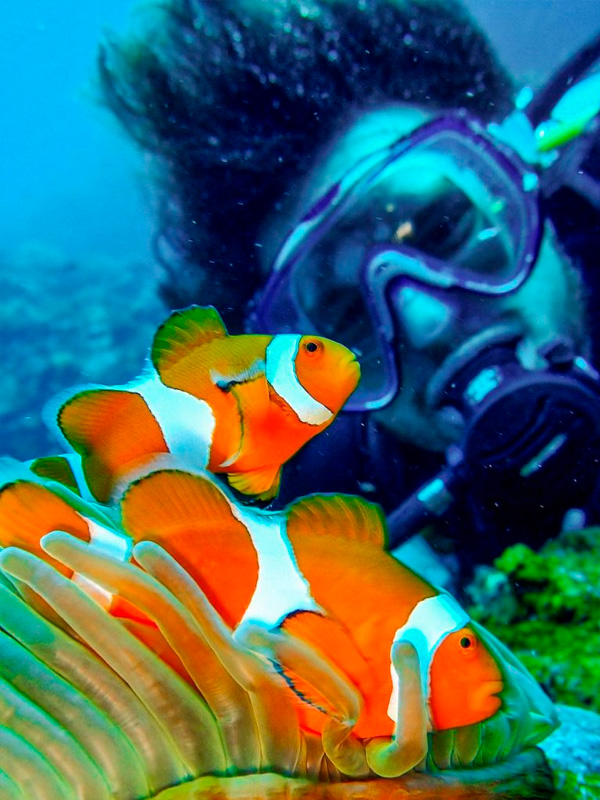 selfies con animales