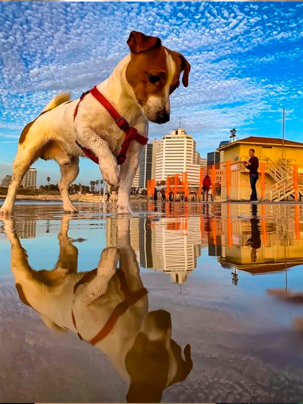 impresionantes fotografías