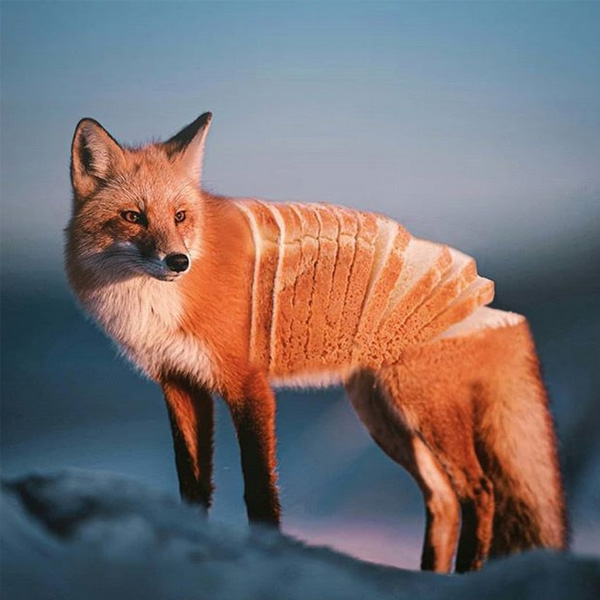 Ronald Ong retoca animales